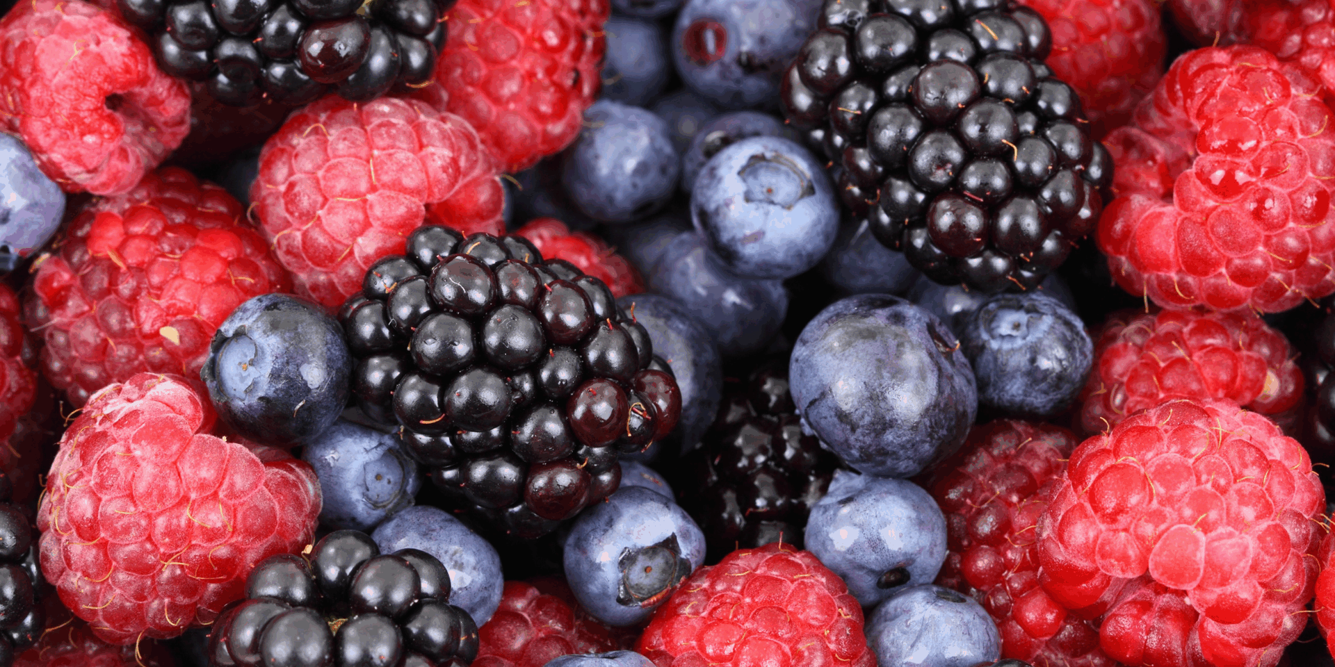 Jamfabriek Foundersontbijt 